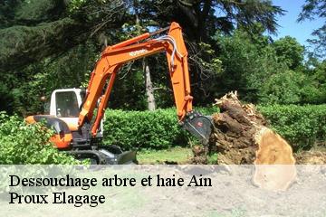 Dessouchage arbre et haie 01 Ain Proux Elagage