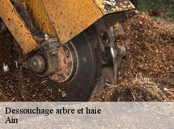 Dessouchage arbre et haie Ain