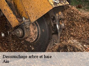 Dessouchage arbre et haie Ain 