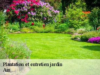 Plantation et entretien jardin Ain 