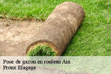 Pose de gazon en rouleau 01 Ain  Proux Elagage