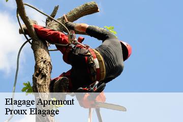Elagage  apremont-01100 Pierrot Elagage
