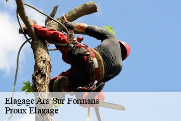 Elagage  ars-sur-formans-01480 Pierrot Elagage