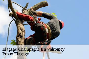 Elagage  champagne-en-valromey-01260 Dynamique Elagueur