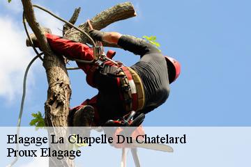 Elagage  la-chapelle-du-chatelard-01240 Dynamique Elagueur