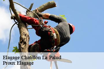 Elagage  chatillon-la-palud-01320 Dynamique Elagueur