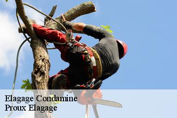 Elagage  condamine-01430 Proux Elagage