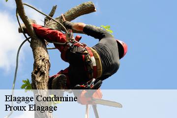 Elagage condamine-01430 Proux Elagage