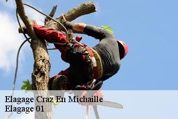 Elagage  craz-en-michaille-01200 Elagage 01