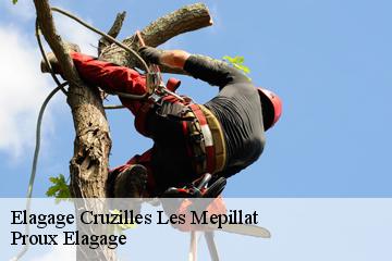 Elagage  cruzilles-les-mepillat-01290 Proux Elagage