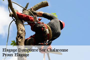Elagage  dompierre-sur-chalaronne-01400 Proux Elagage