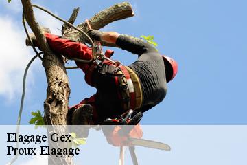 Elagage  gex-01170 Pierrot Elagage
