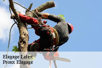 Elagage  lelex-01410 Pierrot Elagage