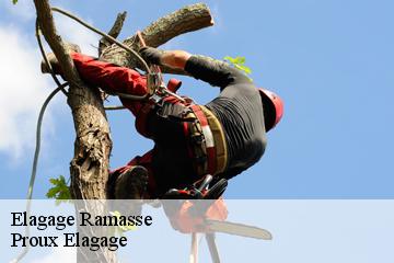 Elagage  ramasse-01250 Proux Elagage