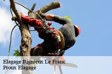 Elagage  rignieux-le-franc-01800 Proux Elagage