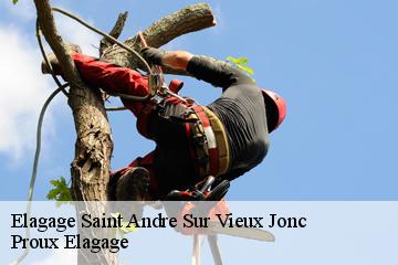 Elagage  saint-andre-sur-vieux-jonc-01240 Proux Elagage