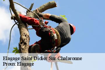 Elagage  saint-didier-sur-chalaronne-01140 Proux Elagage