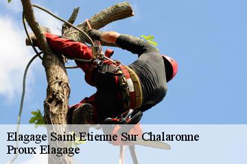 Elagage  saint-etienne-sur-chalaronne-01140 Proux Elagage