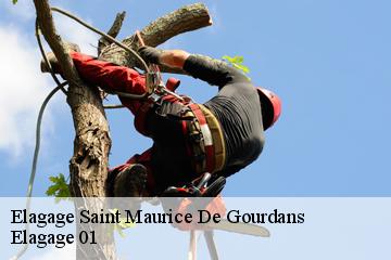Elagage saint-maurice-de-gourdans-01800 Elagage 01