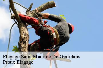 Elagage  saint-maurice-de-gourdans-01800 Proux Elagage
