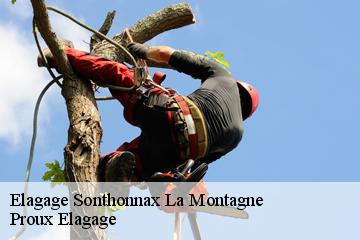 Elagage  sonthonnax-la-montagne-01580 Proux Elagage