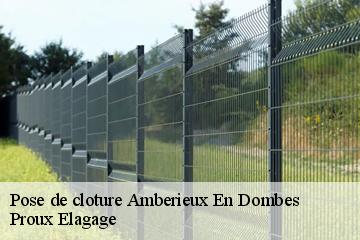 Pose de cloture  amberieux-en-dombes-01330 Proux Elagage