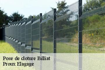Pose de cloture  billiat-01200 Proux Elagage