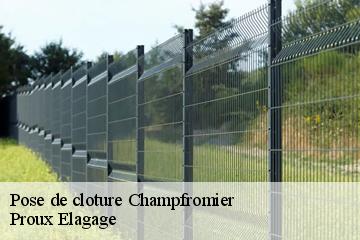 Pose de cloture  champfromier-01410 Proux Elagage