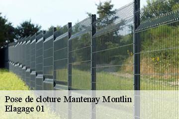 Pose de cloture  mantenay-montlin-01560 Elagage 01