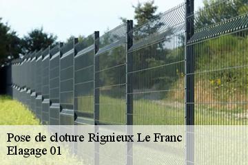 Pose de cloture  rignieux-le-franc-01800 Elagage 01