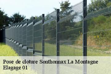 Pose de cloture sonthonnax-la-montagne-01580 Elagage 01