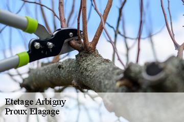 Etetage  arbigny-01190 Proux Elagage