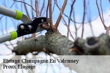 Etetage  champagne-en-valromey-01260 Proux Elagage