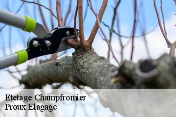 Etetage  champfromier-01410 Proux Elagage