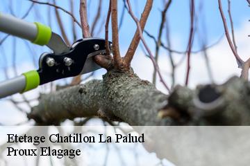 Etetage  chatillon-la-palud-01320 Proux Elagage