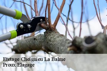 Etetage  cheignieu-la-balme-01510 Proux Elagage