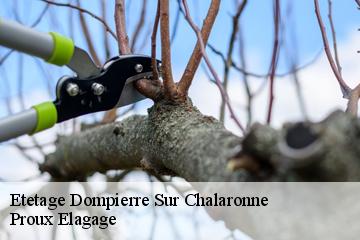 Etetage  dompierre-sur-chalaronne-01400 Proux Elagage