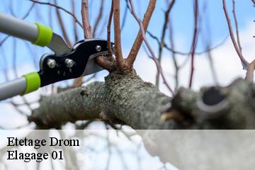 Etetage  drom-01250 Elagage 01