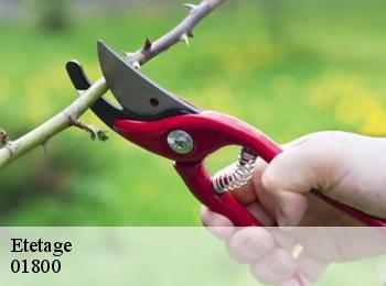 Etetage 01800