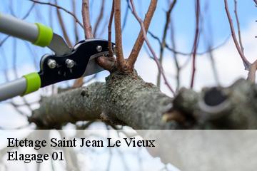 Etetage saint-jean-le-vieux-01640 Elagage 01