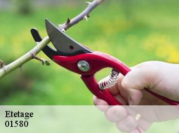 Etetage 01580