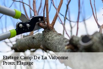 Etetage camp-de-la-valbonne-01360 Proux Elagage