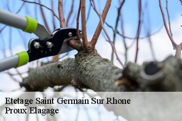 Etetage  saint-germain-sur-rhone-01200 Proux Elagage