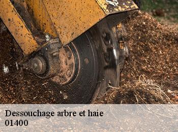 Dessouchage arbre et haie  01400