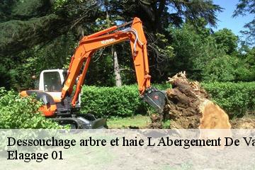 Dessouchage arbre et haie l-abergement-de-varey-01640 Elagage 01