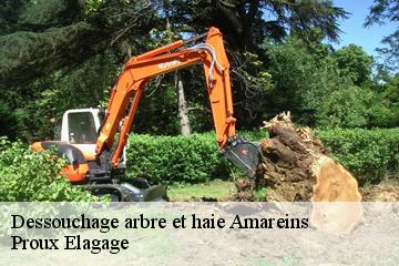 Dessouchage arbre et haie  amareins-01090 Proux Elagage