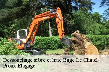 Dessouchage arbre et haie  bage-le-chatel-01380 Proux Elagage