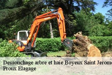 Dessouchage arbre et haie  boyeux-saint-jerome-01640 Proux Elagage