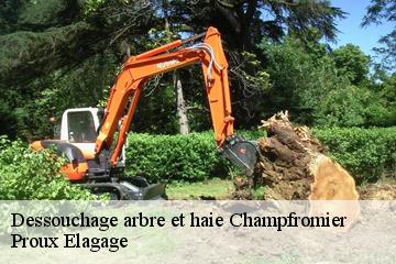 Dessouchage arbre et haie  champfromier-01410 Proux Elagage