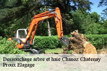 Dessouchage arbre et haie  chanoz-chatenay-01400 Proux Elagage